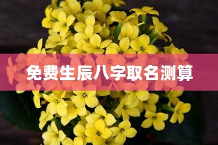 免费生辰八字取名测算