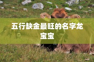 五行缺金最旺的名字龙宝宝  第1张 五行缺金最旺的名字龙宝宝  第1张