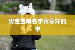 男宝宝取名字寓意好的字
