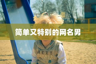 简单又特别的网名男  第1张 简单又特别的网名男  第1张