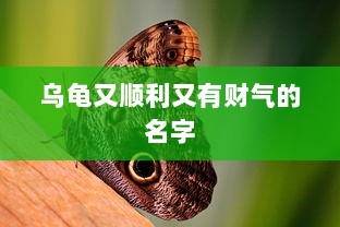乌龟又顺利又有财气的名字