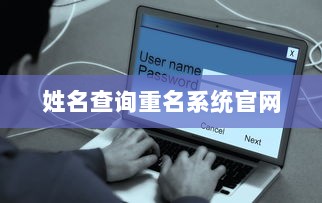 姓名查询重名系统官网