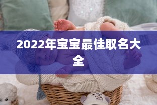 2022年宝宝最佳取名大全