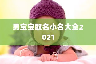 男宝宝取名小名大全2021