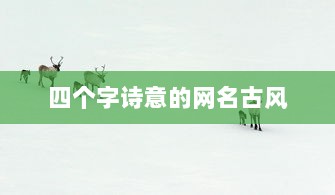 四个字诗意的网名古风  第1张 四个字诗意的网名古风  第1张