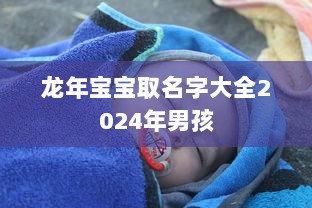 龙年宝宝取名字大全2024年男孩
