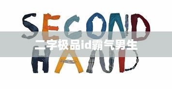 二字极品id霸气男生