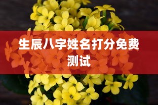 生辰八字姓名打分免费测试 第1张 生辰八字姓名打分免费测试 第1张