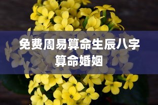 免费周易算命生辰八字算命婚姻  第1张 免费周易算命生辰八字算命婚姻  第1张
