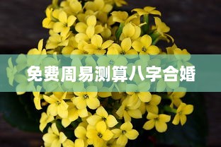 免费周易测算八字合婚
