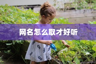 网名怎么取才好听  第1张 网名怎么取才好听  第1张