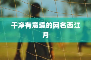 干净有意境的网名西江月  第1张 干净有意境的网名西江月  第1张