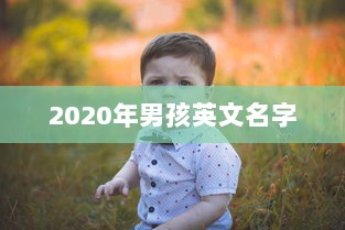 2020年男孩英文名字 第1张 2020年男孩英文名字 第1张