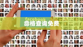 命格查询免费 第1张 命格查询免费 第1张