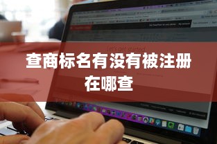 查商标名有没有被注册在哪查