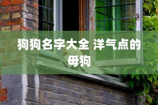 狗狗名字大全 洋气点的母狗
