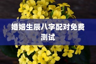 婚姻生辰八字配对免费测试