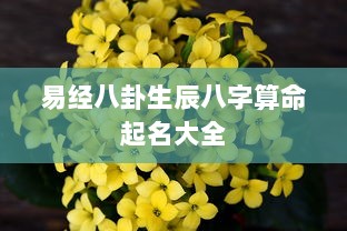 易经八卦生辰八字算命起名大全