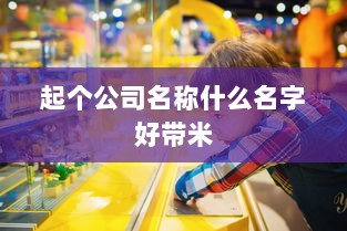 起个公司名称什么名字好带米