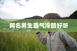 网名男生霸气冷酷好听