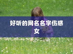 好听的网名名字伤感女  第1张 好听的网名名字伤感女  第1张