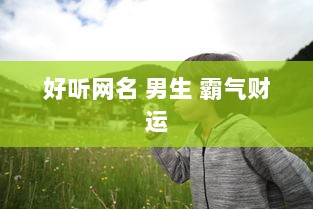 好听网名 男生 霸气财运