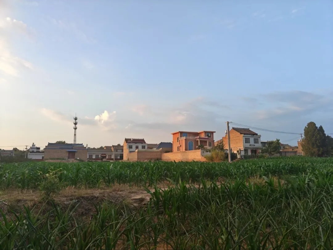 在农村,攀比之风越来越严重了。  第1张 在农村,攀比之风越来越严重了。  第1张