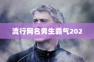 流行网名男生霸气2020  第1张 流行网名男生霸气2020  第1张