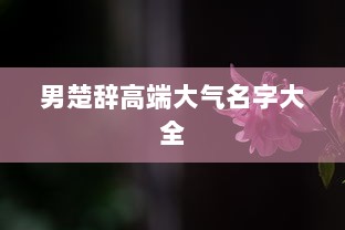 男楚辞高端大气名字大全  第1张