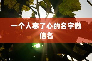 一个人寒了心的名字微信名