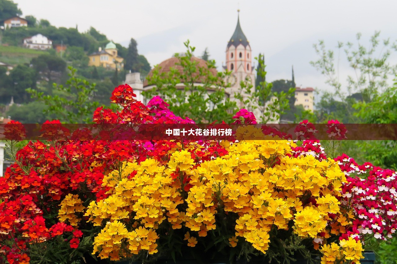 中国十大花谷排行榜 第1张 中国十大花谷排行榜 第1张