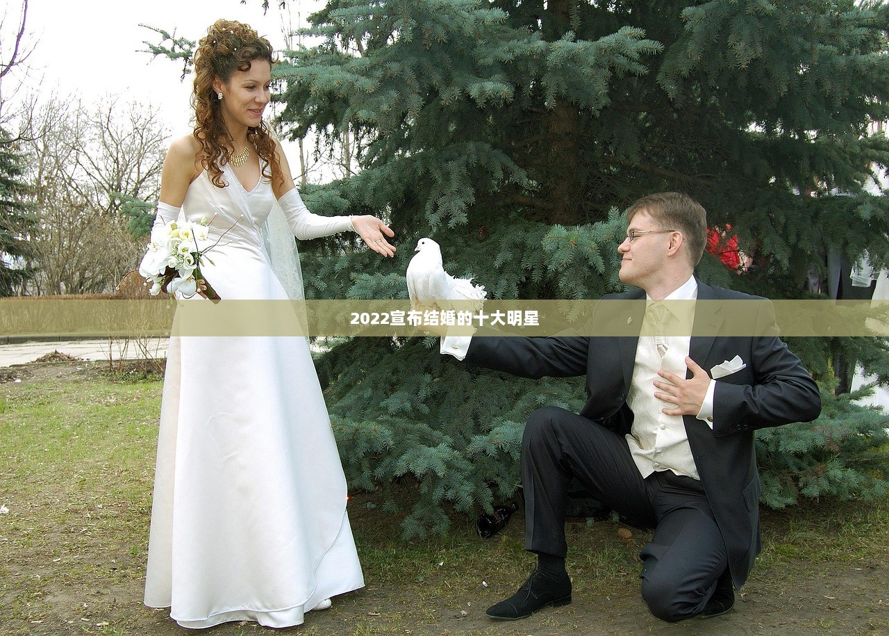 2022宣布结婚的十大明星
