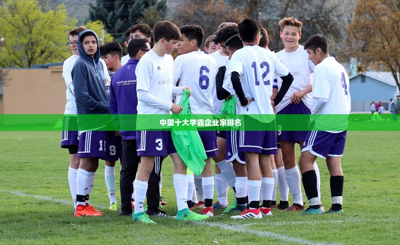 中国十大学霸企业家排名