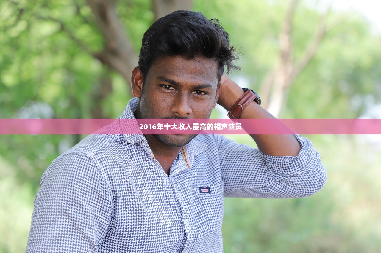 2016年十大收入最高的相声演员  第1张 2016年十大收入最高的相声演员  第1张
