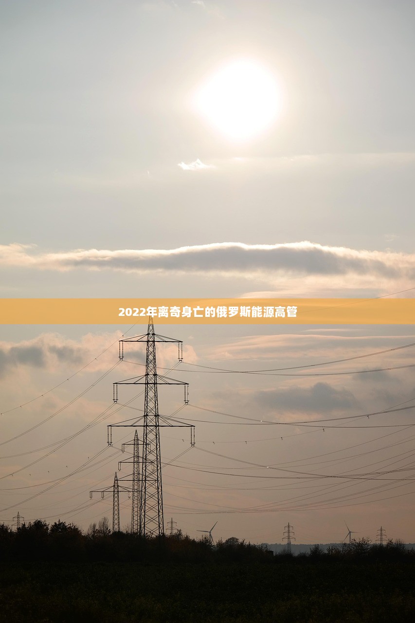 2022年离奇身亡的俄罗斯能源高管