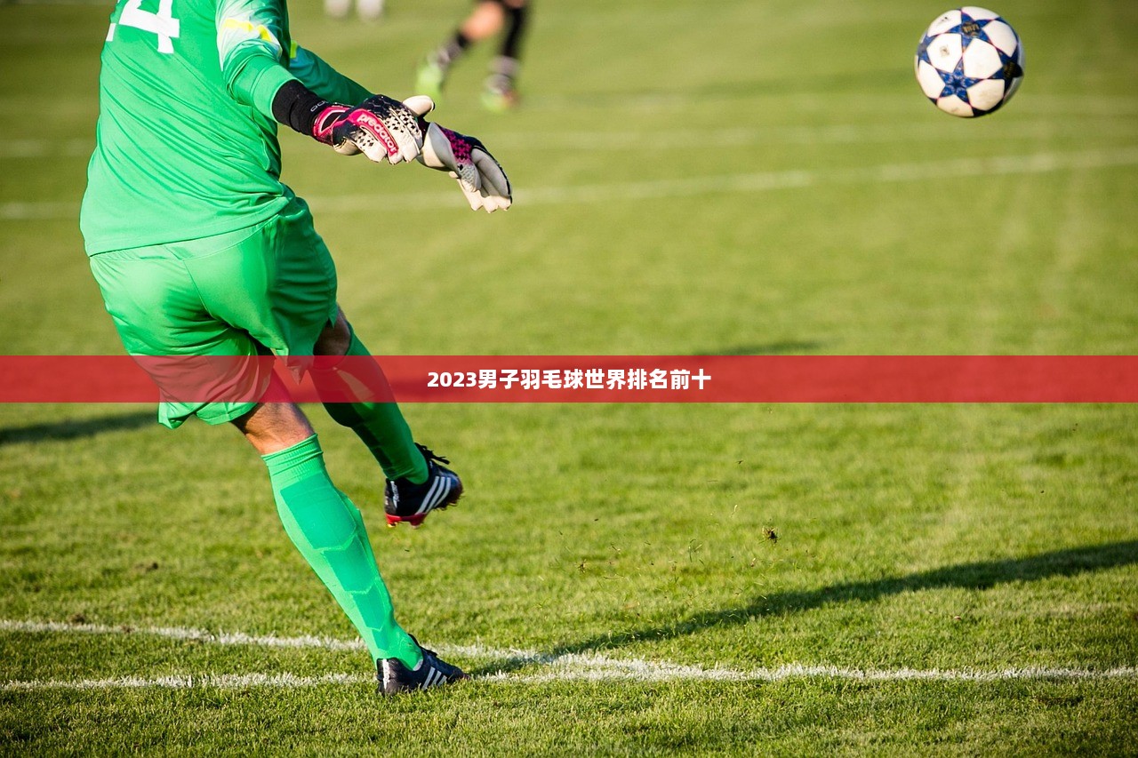 2023男子羽毛球世界排名前十