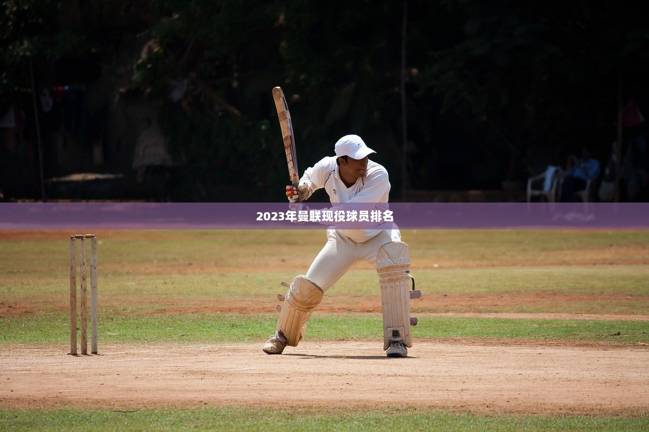 2023年曼联现役球员排名