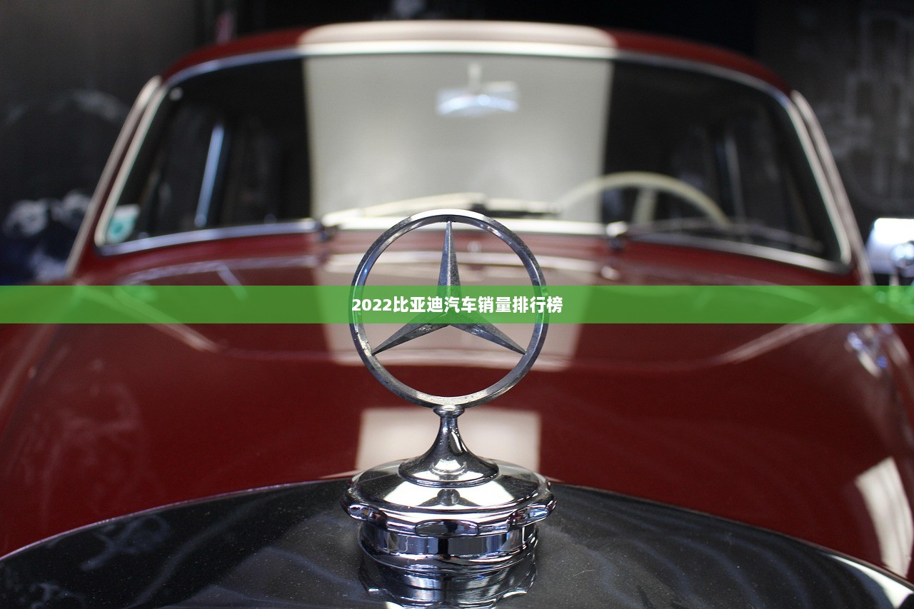 2022比亚迪汽车销量排行榜  第1张
