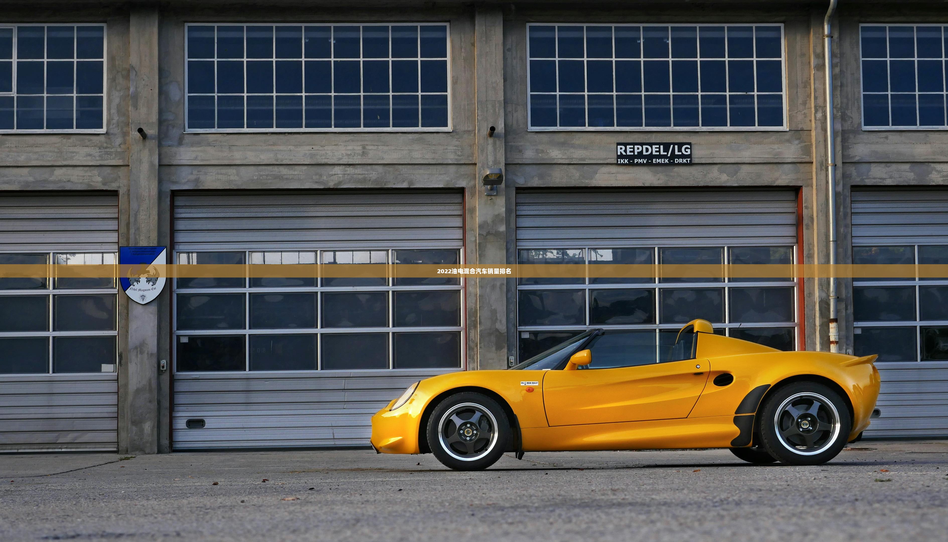 2022油电混合汽车销量排名