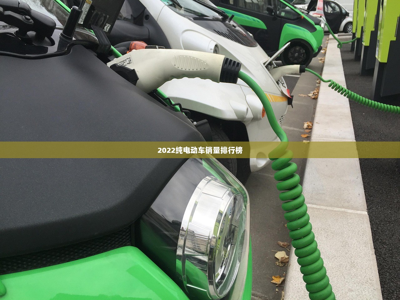 2022纯电动车销量排行榜