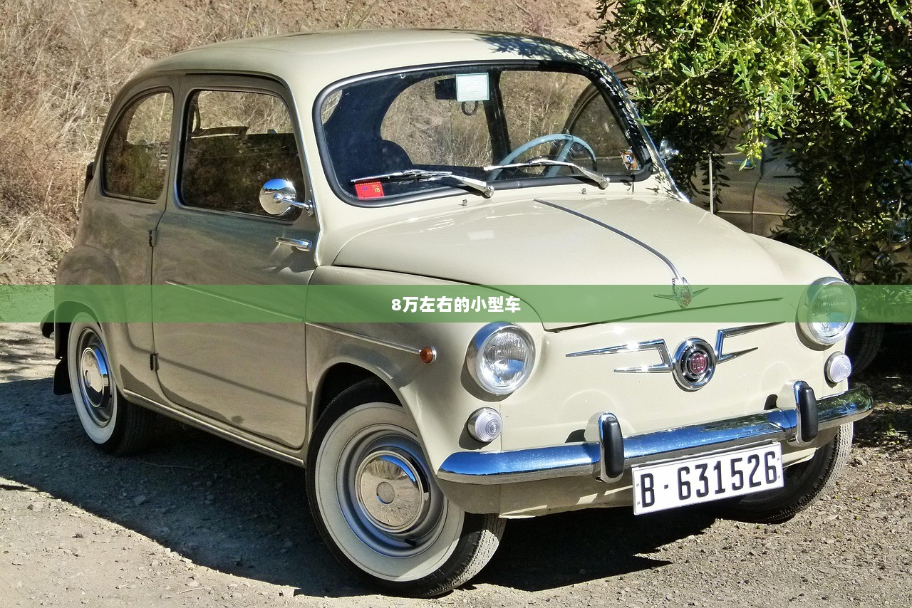 8万左右的小型车