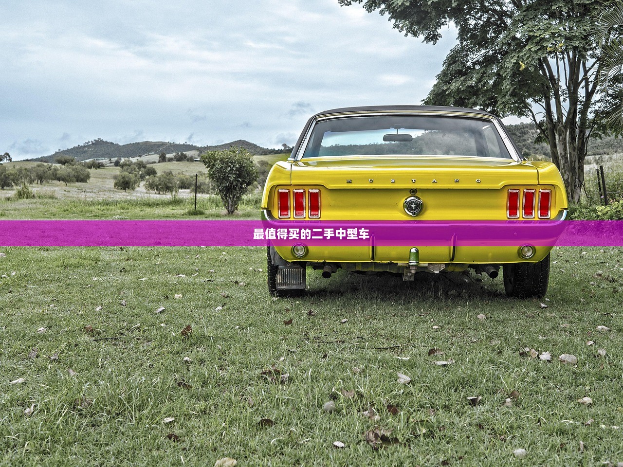 最值得买的二手中型车