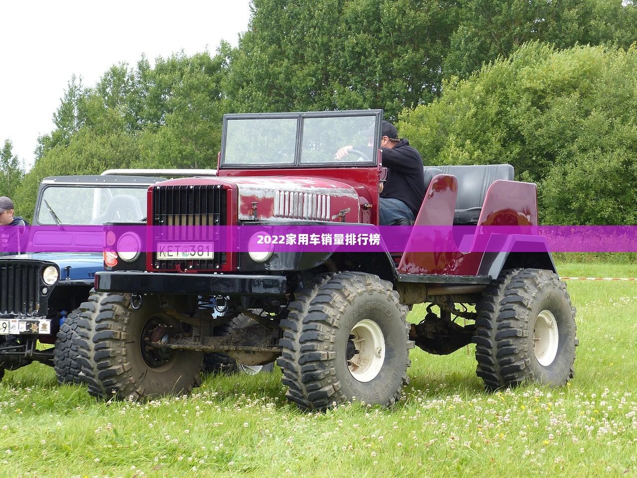 2022家用车销量排行榜