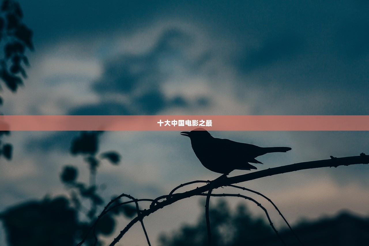 十大中国电影之最