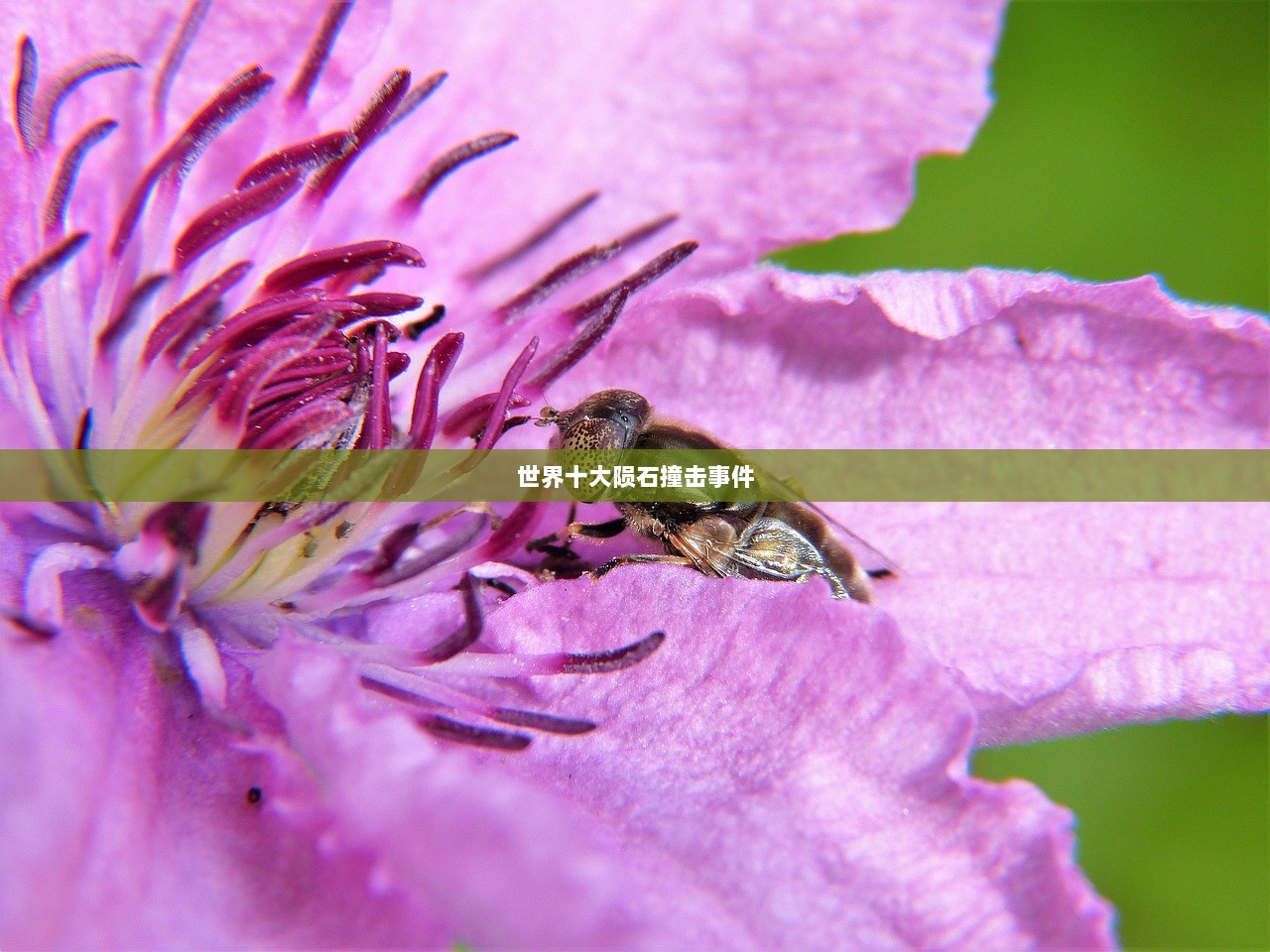 世界十大陨石撞击事件