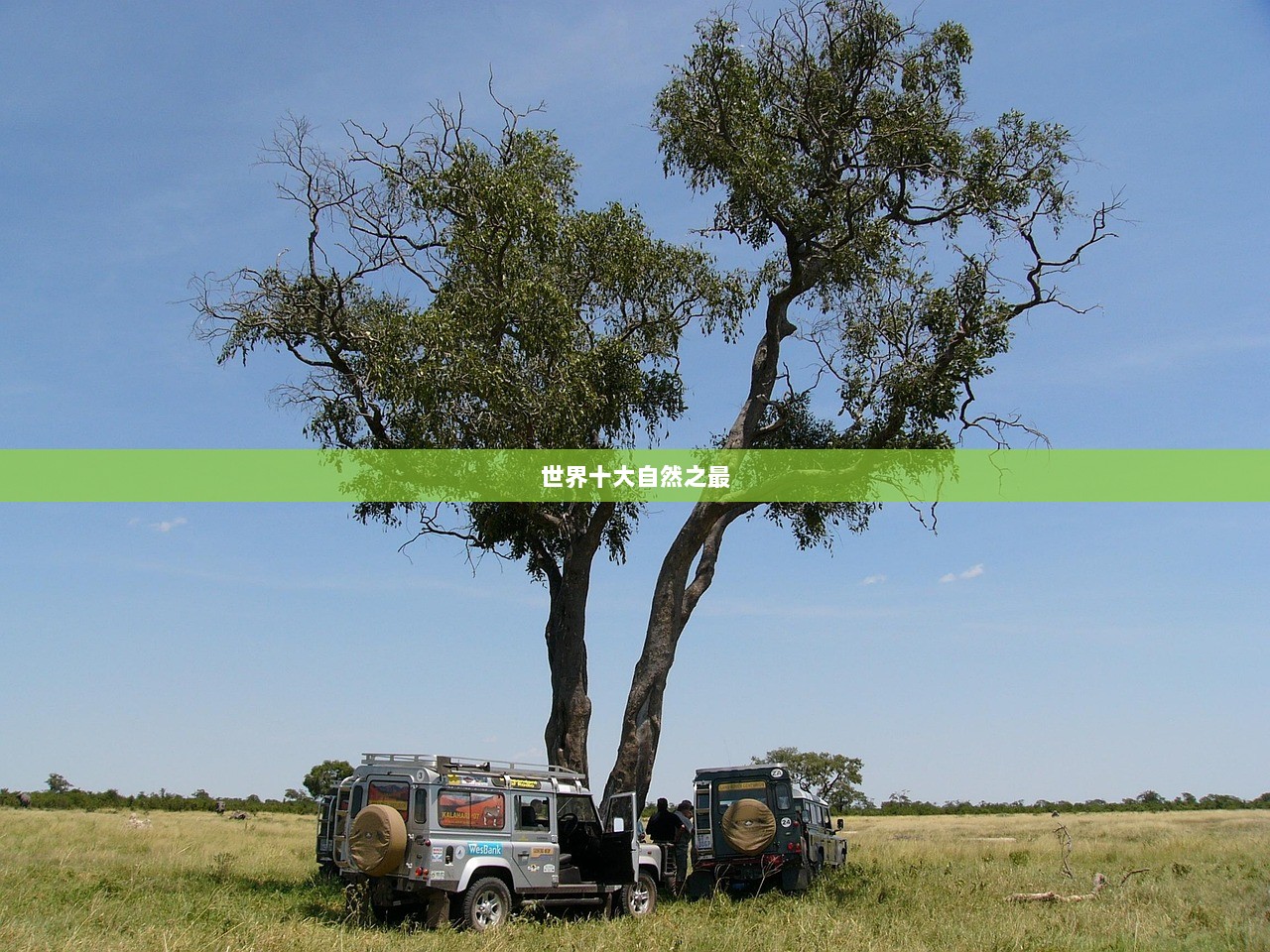 世界十大自然之最