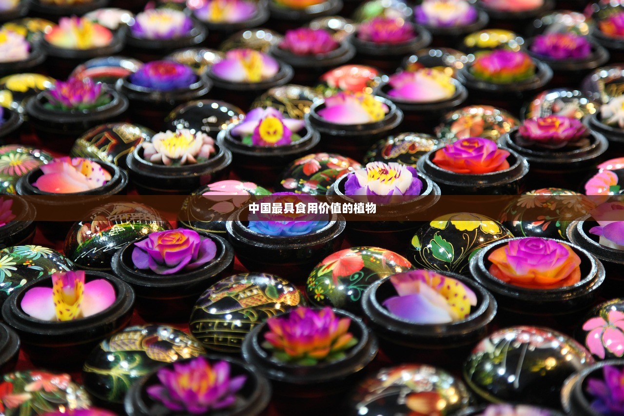 中国最具食用价值的植物
