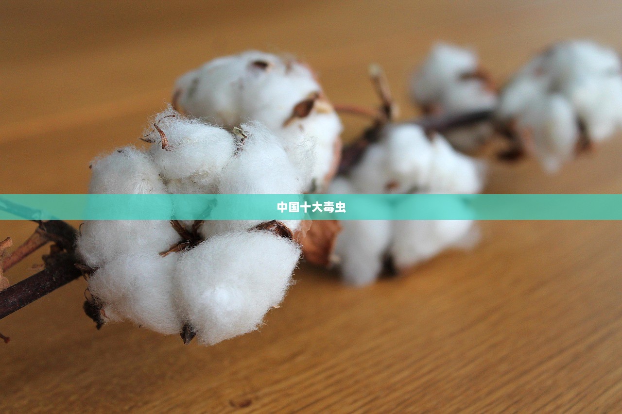 中国十大毒虫