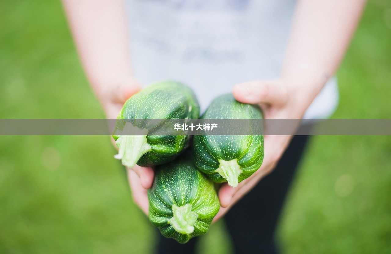 华北十大特产