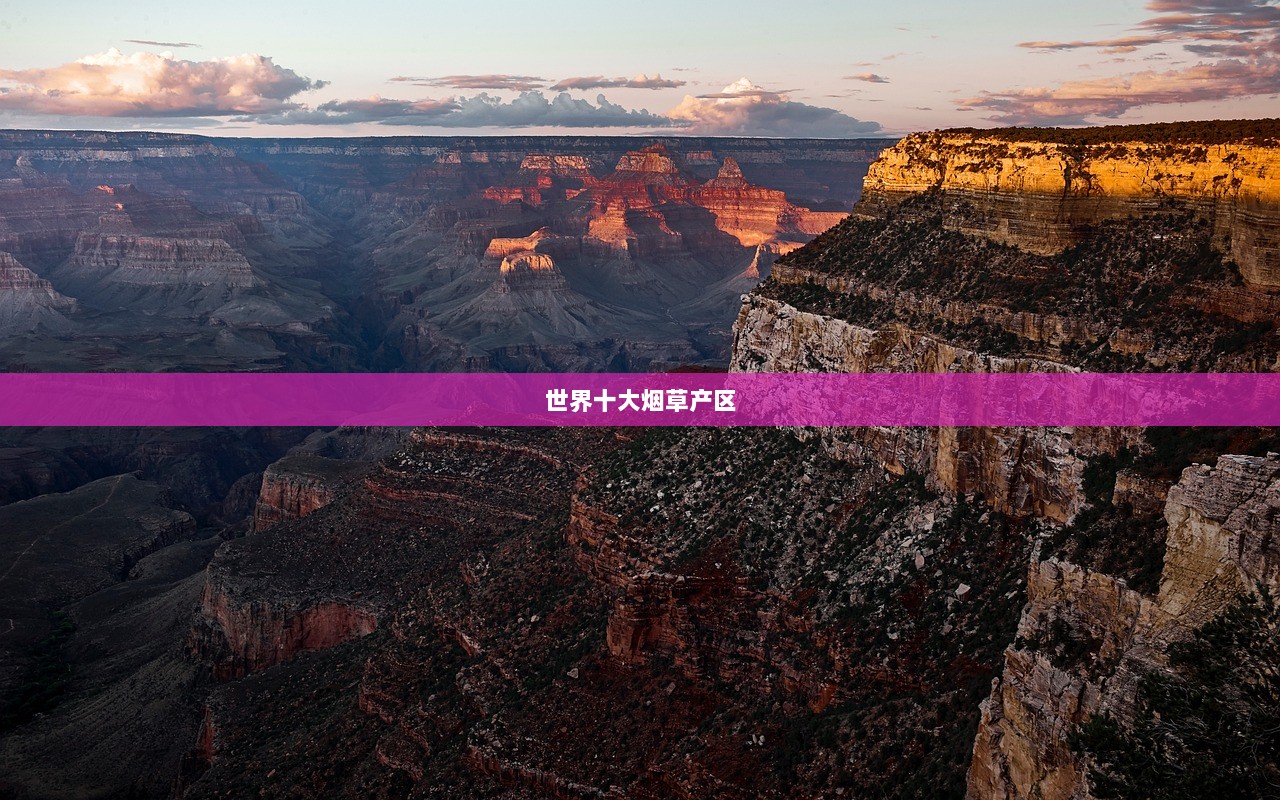 世界十大烟草产区  第1张